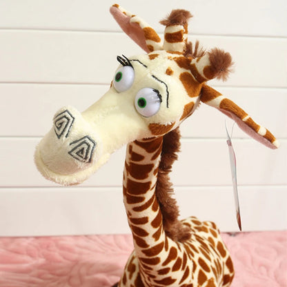 Melman, Madagascar  35 cms