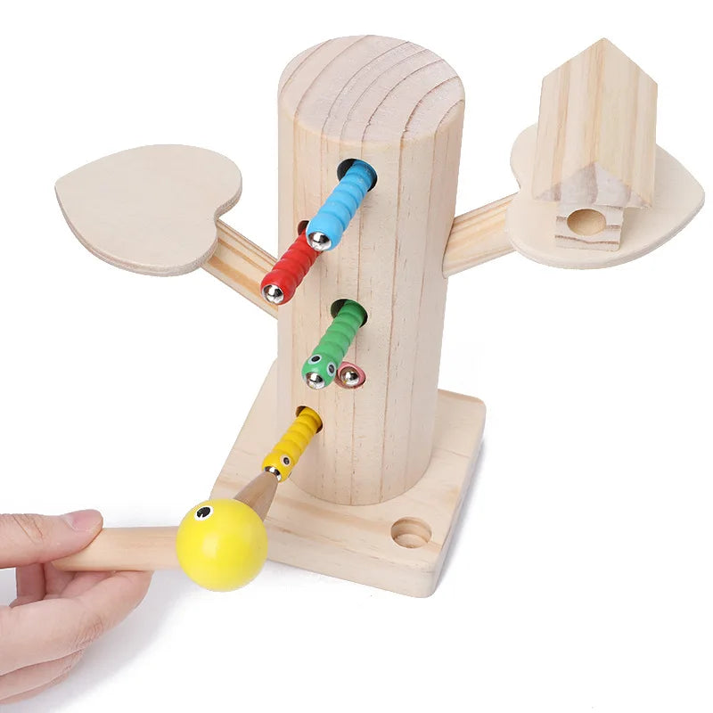 Pájaro carpintero magnético para atrapar el gusano, juego de alimentación de pájaros pequeños, Juguetes Montessori