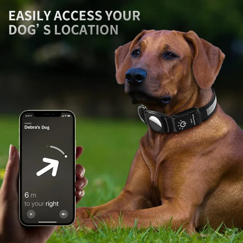 Collar con GPS para perros. Collar emisor de luz LED.