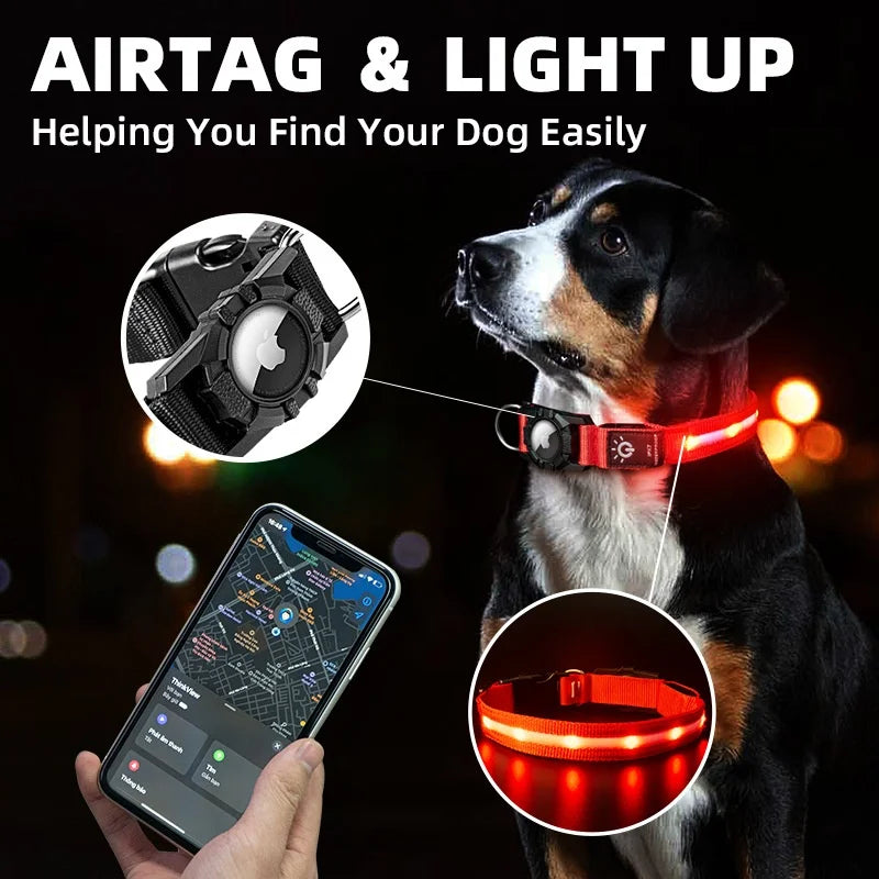 Collar con GPS para perros. Collar emisor de luz LED.